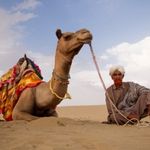 Rajasthan Taxi Service (12)